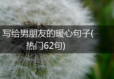 写给男朋友的暖心句子(热门62句)