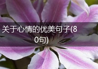 关于心情的优美句子(80句)