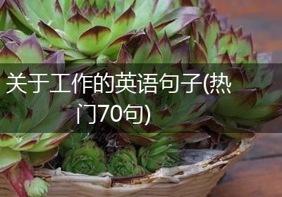 关于工作的英语句子(热门70句)