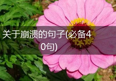 关于崩溃的句子(必备40句)