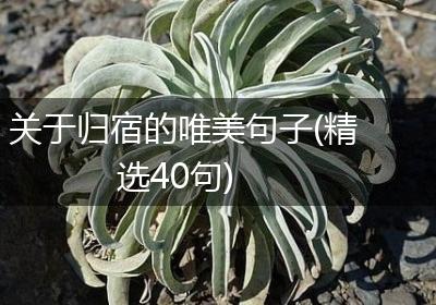 关于归宿的唯美句子(精选40句)