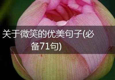 关于微笑的优美句子(必备71句)