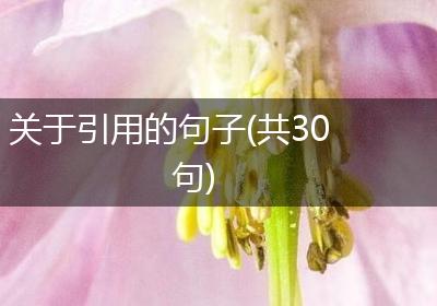 关于引用的句子(共30句)