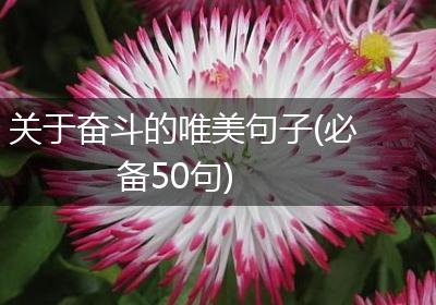 关于奋斗的唯美句子(必备50句)