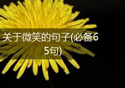 关于微笑的句子(必备65句)