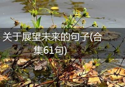 关于展望未来的句子(合集61句)