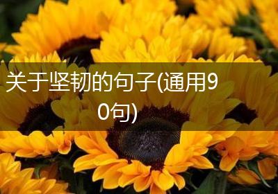 关于坚韧的句子(通用90句)