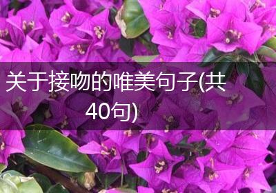 关于接吻的唯美句子(共40句)