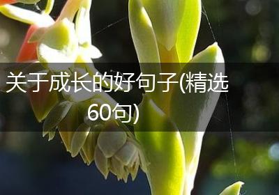 关于成长的好句子(精选60句)