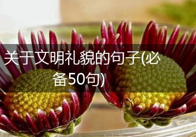 关于文明礼貌的句子(必备50句)