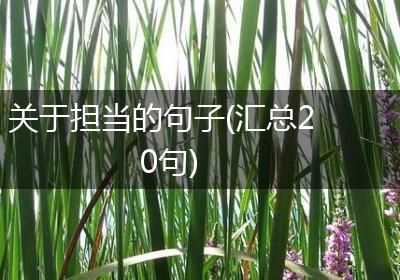 关于担当的句子(汇总20句)