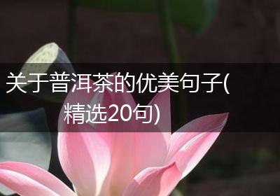 关于普洱茶的优美句子(精选20句)