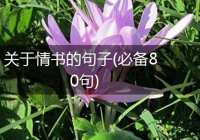 关于情书的句子(必备80句)