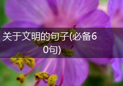 关于文明的句子(必备60句)