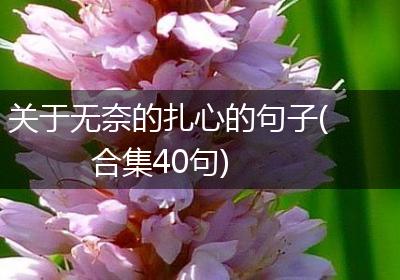 关于无奈的扎心的句子(合集40句)