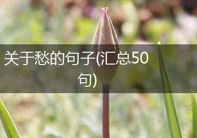关于愁的句子(汇总50句)