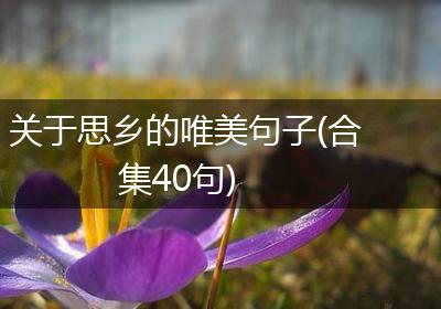关于思乡的唯美句子(合集40句)