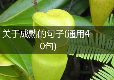关于成熟的句子(通用40句)