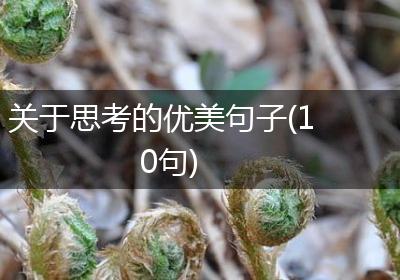 关于思考的优美句子(10句)