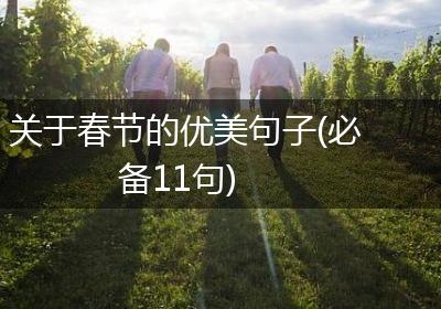 关于春节的优美句子(必备11句)