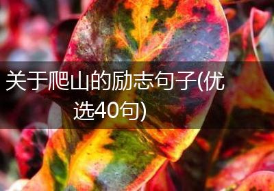 关于爬山的励志句子(优选40句)