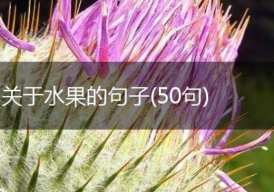 关于水果的句子(50句)