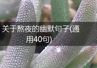 关于熬夜的幽默句子(通用40句)
