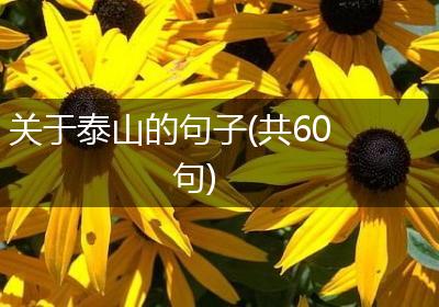 关于泰山的句子(共60句)