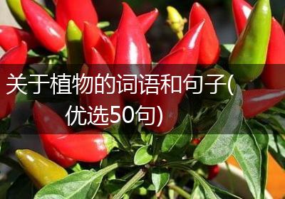 关于植物的词语和句子(优选50句)