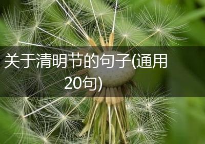 关于清明节的句子(通用20句)