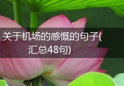 关于机场的感慨的句子(汇总48句)