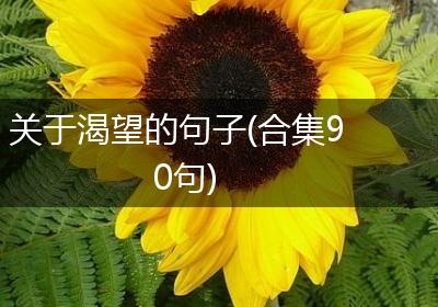 关于渴望的句子(合集90句)