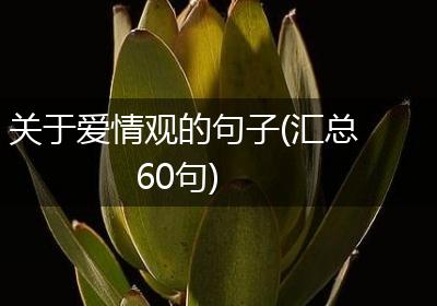 关于爱情观的句子(汇总60句)