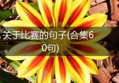 关于比赛的句子(合集60句)