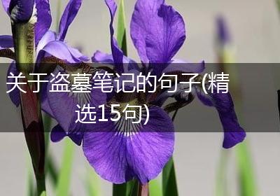 关于盗墓笔记的句子(精选15句)