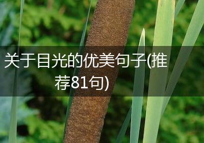 关于目光的优美句子(推荐81句)