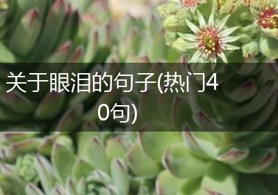 关于眼泪的句子(热门40句)