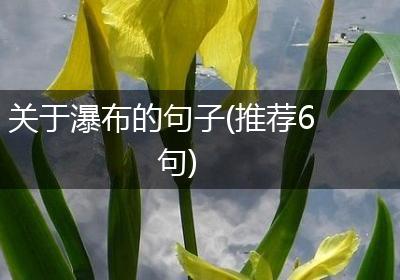 关于瀑布的句子(推荐6句)