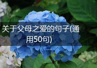 关于父母之爱的句子(通用50句)