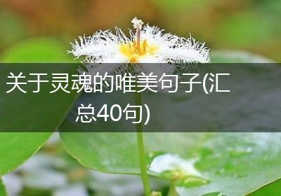 关于灵魂的唯美句子(汇总40句)