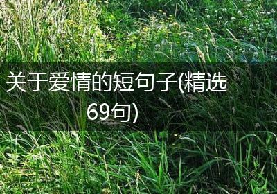 关于爱情的短句子(精选69句)