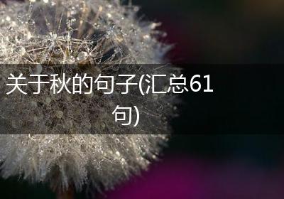 关于秋的句子(汇总61句)