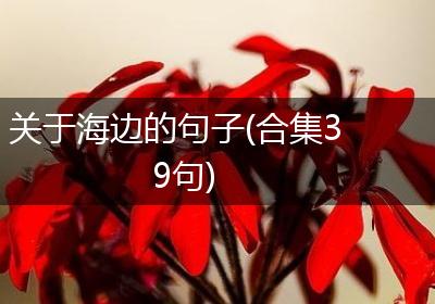 关于海边的句子(合集39句)