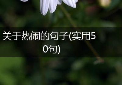 关于热闹的句子(实用50句)