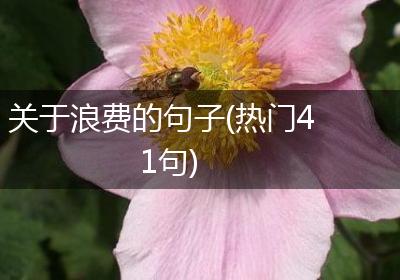 关于浪费的句子(热门41句)
