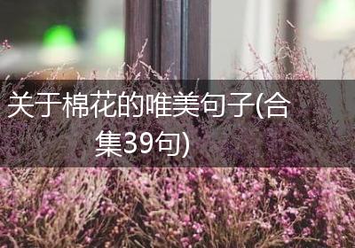 关于棉花的唯美句子(合集39句)