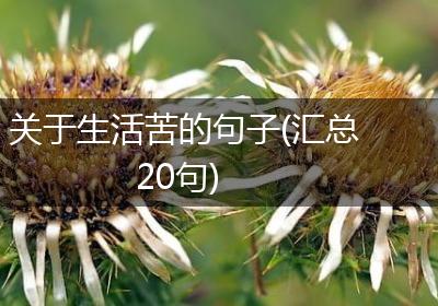 关于生活苦的句子(汇总20句)