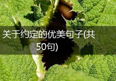 关于约定的优美句子(共50句)
