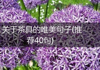 关于茶具的唯美句子(推荐40句)