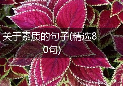 关于素质的句子(精选80句)